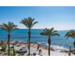 Apartamento en Alquiler en Torrevieja, Alicante