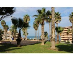 Apartamento en Alquiler en Torrevieja, Alicante