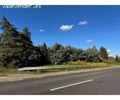 VIVERO EN LA RECTA DE CORESES